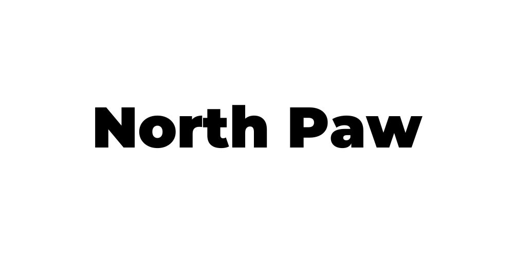 xr:d:DAF668t75QA:3,j:6624087296838915198,t:24020912