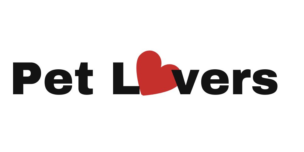 xr:d:DAFCXvNX0Oc:120,j:3444546370029552700,t:24021312