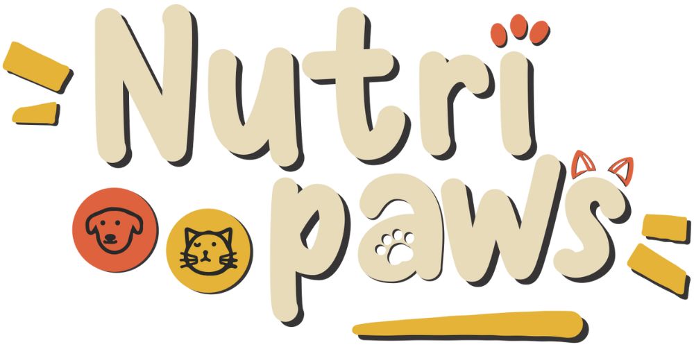 xr:d:DAFCXvNX0Oc:120,j:872990569950595142,t:24020912