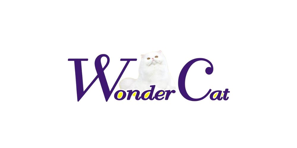 xr:d:DAF668t75QA:4,j:3193473470807711830,t:24031111